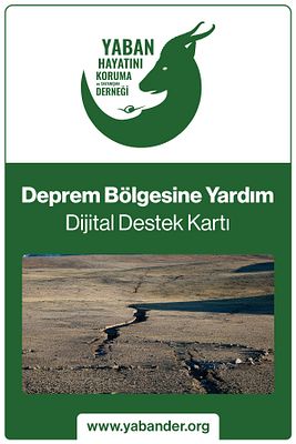 Deprem Dijital Destek Kartı ürün fotoğrafı