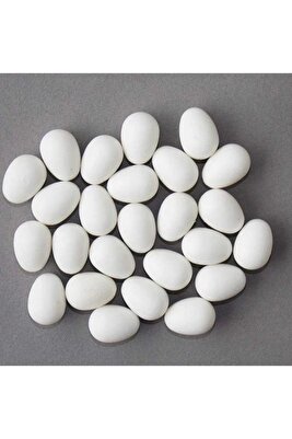 Sahte Kuş Yumurtası Kanarya Muhabbet Kuşu 5 Adet ürün fotoğrafı