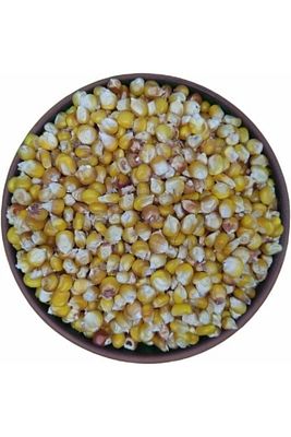 Tane Mısır (haşlamalık) 1 Kg ürün fotoğrafı