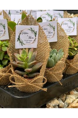 Jüt Süslemeli Ve Isimlikli Sukulent Hediyelik 20 Adet ürün fotoğrafı