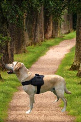 Köpek Göğüs Tasması Büyük Irk Köpek Tasması Dog Police K9 Tasma ürün fotoğrafı