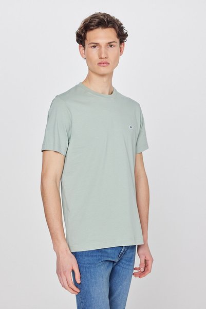 Regular Fit Normal Cut 100% Cotton Crew Neck Mint Green T-Shirt