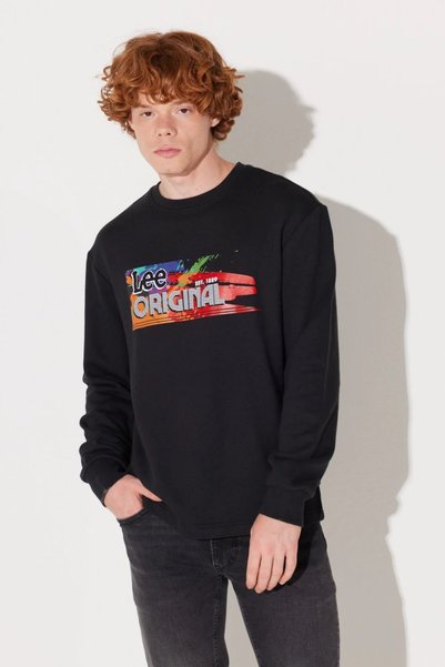 Regular Fit Crew Neck Raised Sweat Men's SWEAT L232519001
