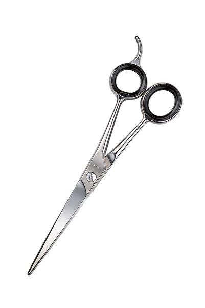 Advance Techniques Haircut Scissors