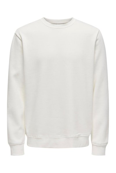 Men's Crew Neck Sweatshirt -22029226