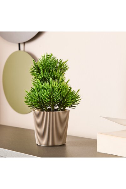 Decorative Artificial Pine Tree in Pot - Colorful - 15X5 cm