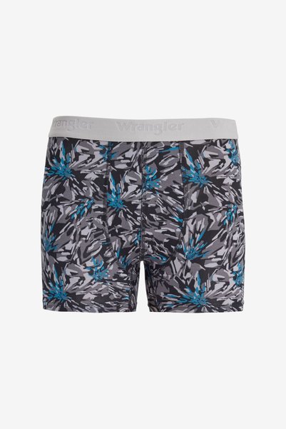 Cotton Flexible Multicolor Boxers