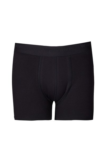 Regular Fit Regular Fit Black Cotton Flexible Single Boxers