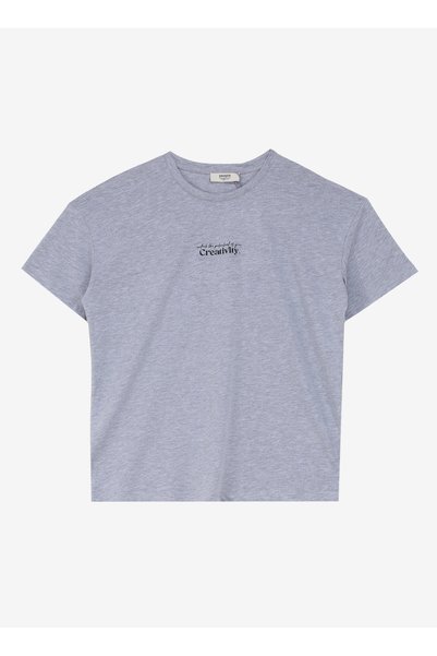 Crew Neck Printed Gray Melange Women's T-Shirt Spbf4Sl-Tst5566