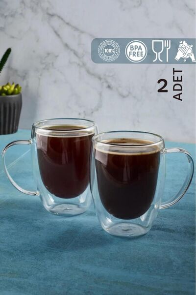 2 Double Walled Glass Latte Glasses with Handles