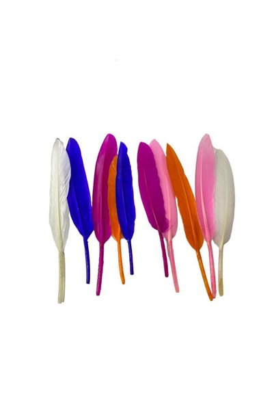 Colorful Bird Feather 10 Colors