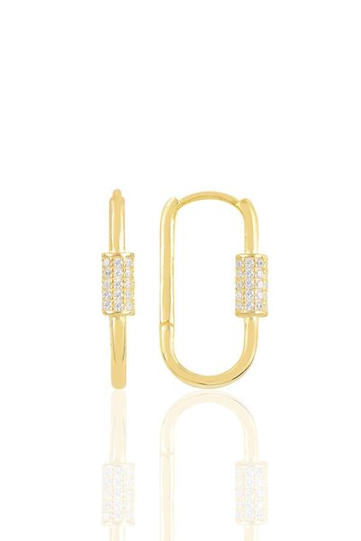 Silver Gold Gilded Zircon Stone Design Earrings Sgtl10883Gold