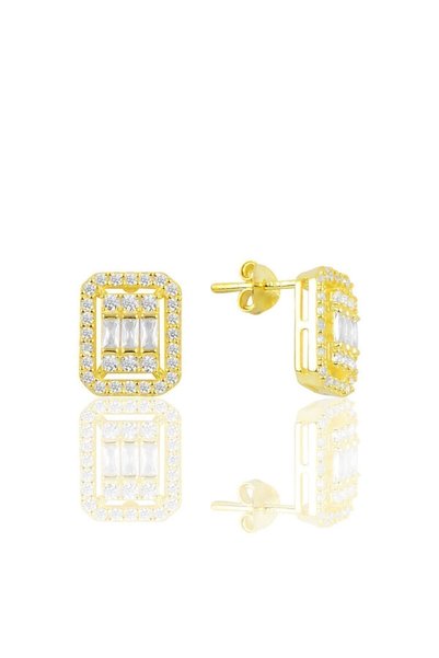 Silver Gold Gilded Baguette Cut Zircon Stone Striped Earrings Sgtl10123Gold
