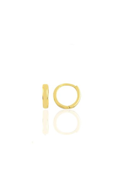 Silver Gold Gilded 9 Mm Hoop Earrings Tragus Piercing Helix Cartilage Earring Sgtl11753gold