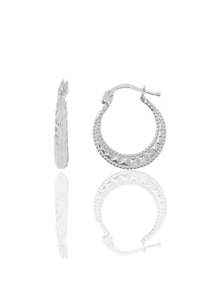 Silver Sliced ​​Charnel Earrings Sgtl11803Rodaj