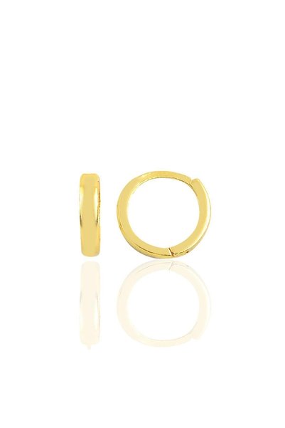 Silver Gold Gilded 12 mm Hoop Earrings Sgtl11756Gold