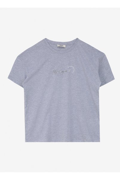 Crew Neck Printed Gray Melange Women's T-Shirt Spbf4Sl-Tst5562