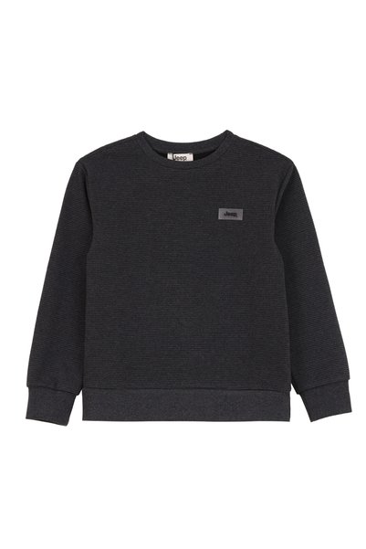 Plain Men's Anthracite Melange Sweatshirt