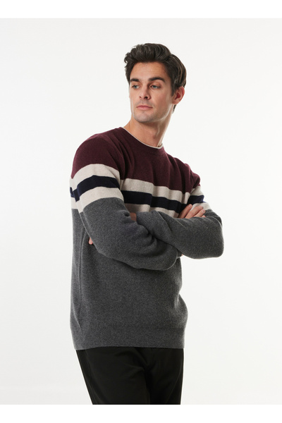 Crew Neck Basic Striped Plum Men's Sweater F4Wm-Kzk 2504