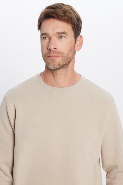 Unisex Relax Fit Comfortable Cut Cotton 3 Thread Fleece Basic Stone Color Crew Neck Sweatshirt