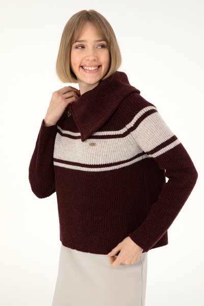 Women's Burgundy V-Neck Sweater 50293133-Vr014
