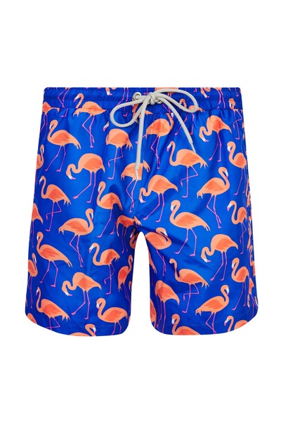 Men's Sea Pool Shorts Patterned Kane S247 Sax