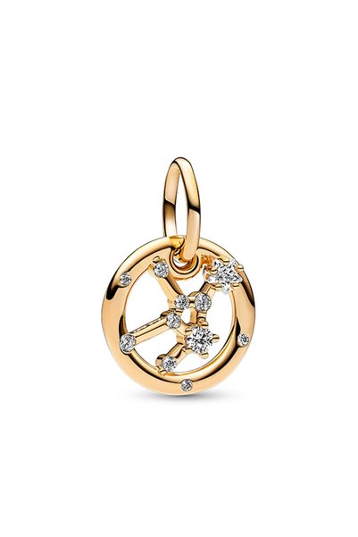 Pisces Hanging Charm