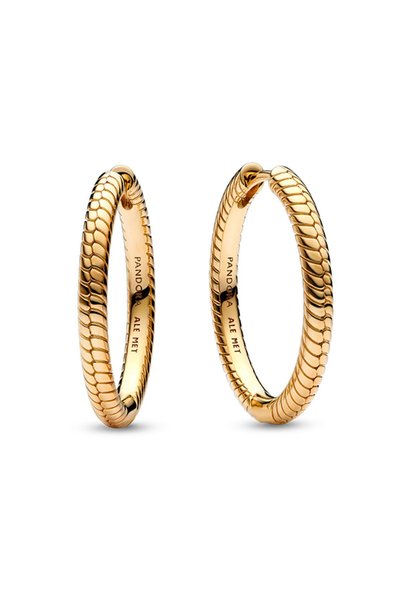 Moments Charm Hoop Earrings
