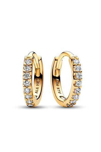 Sparkle Hoop Earrings
