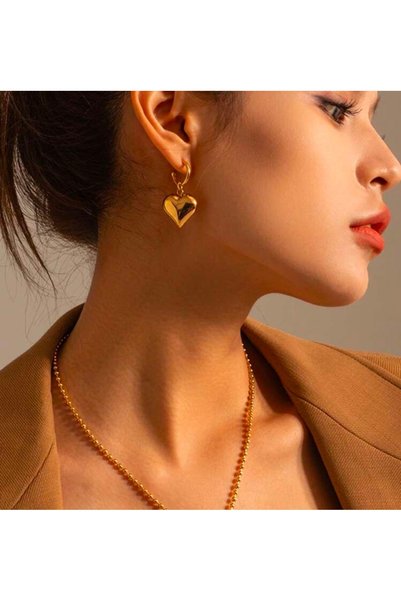 Women's Trend Curved Heart Detailed Earrings