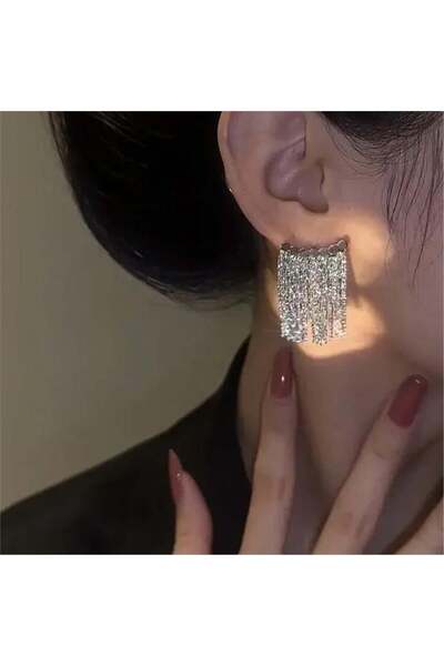 Silver Fringed Chain Earrings