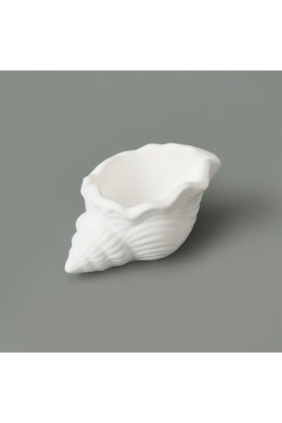 Deco Nautilius Decor - White - 10 cm