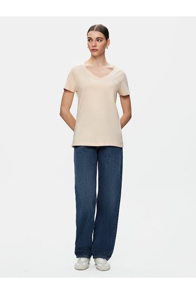 Short Sleeve Basic V-Neck Regular Gray T-Shirt