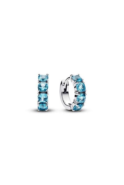 Light Blue Hoop Earrings