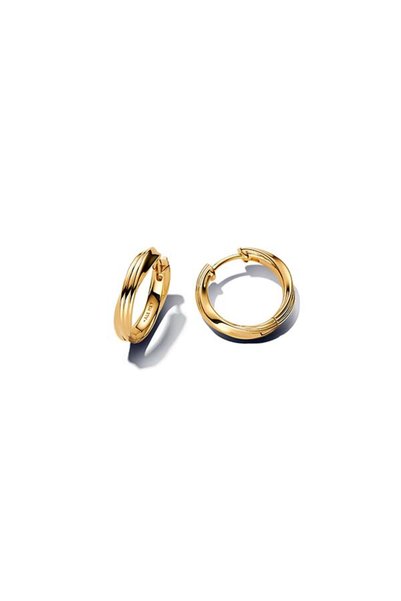 Curvy Hoop Earrings