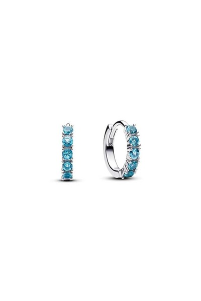 Light Blue Small Hoop Earrings