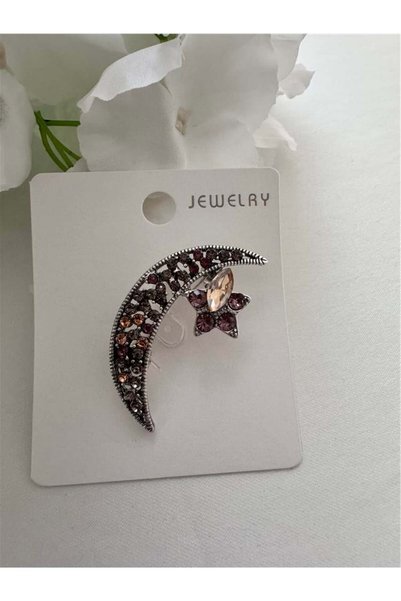 Moon and Star Brooch