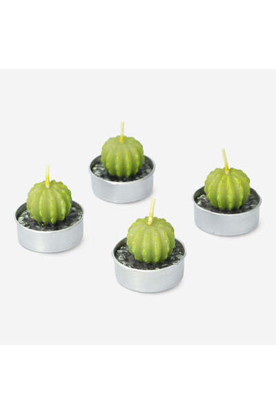 4-Piece Green Round Cactus Candle