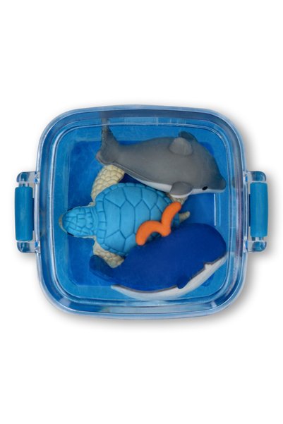Blue Boxed Eraser Set