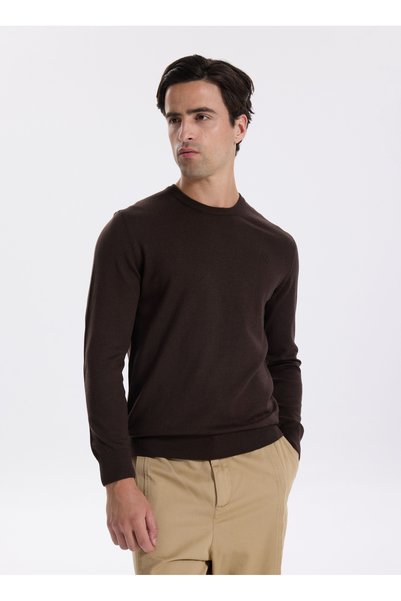 Crew Neck Basic Plain Brown Men's Sweater F5Wm-Kzk 2556