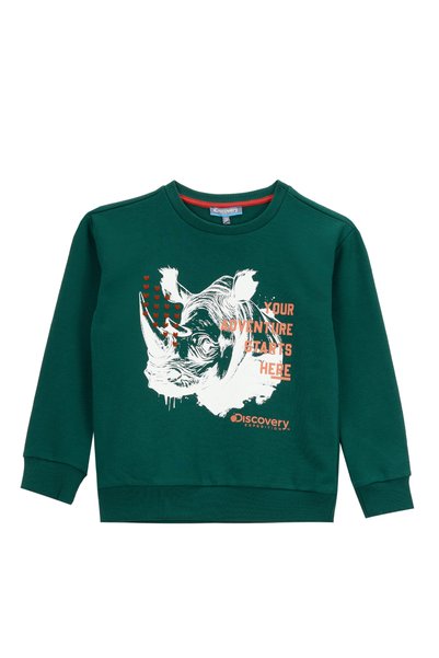 Printed Boy's Dark Green Sweatshirt D5Wb-Swt3046