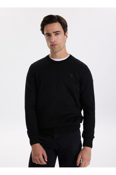 Crew Neck Basic Plain Black Men's Sweater F5Wm-Kzk 2556