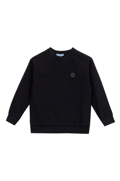 Plain Boy's Black Sweatshirt D5Wb-Swt3102