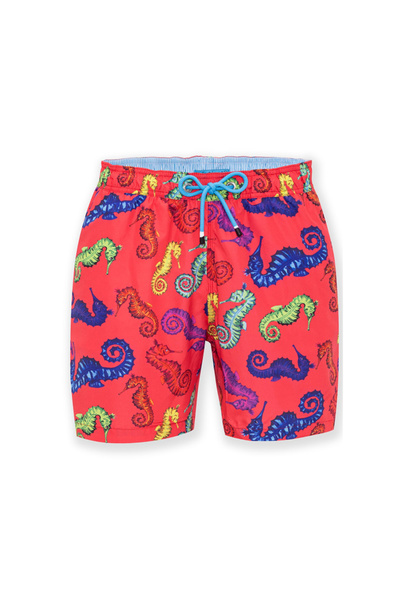 Orange Men's Normal Waist Normal Fit Shorts Swimsuit Oxm7030-Galapagos
