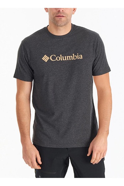 Anthracite Men's V-Neck Regular Fit Printed T-Shirt