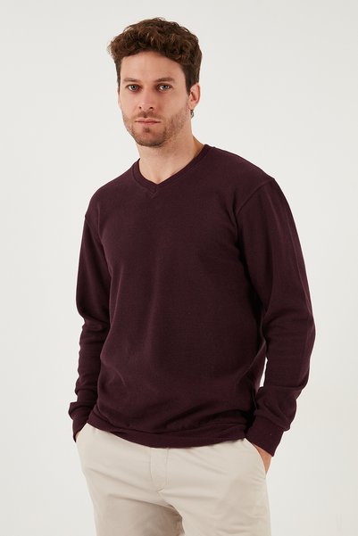Cotton Regular Fit V-Neck Sweater Men's Sweater 456202 V