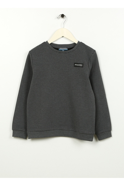 Gray Melange Boys' Hooded Collar Basic Sweatshirt D3Wb-Swt9