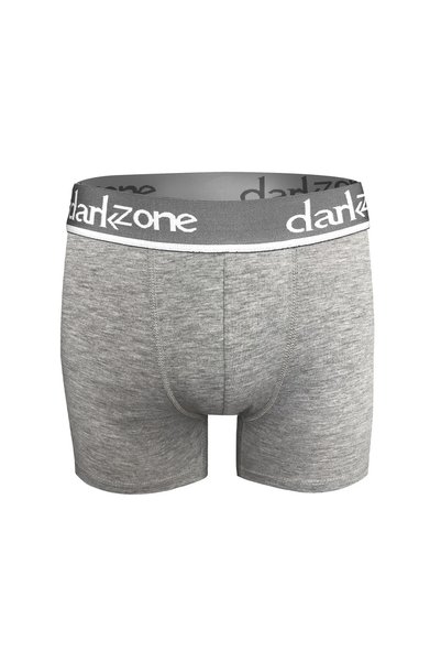 Men's Classic Gray Boxer Dzn2703
