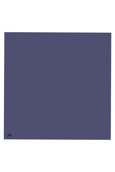 Scarf Lilac Women's Scarf Polyester Tivil-8742795926