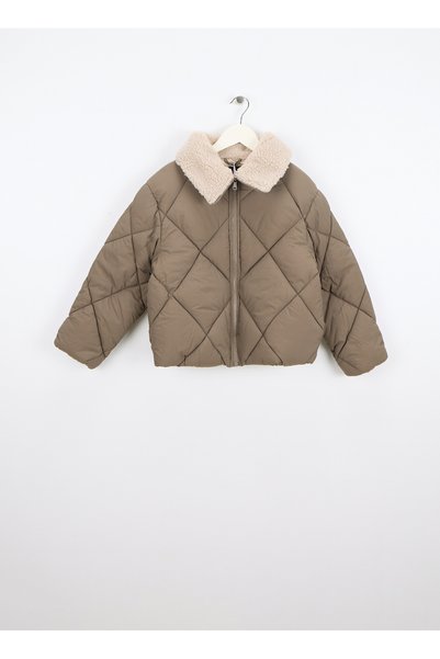 Brown Girl's Puffer Jacket 13244631